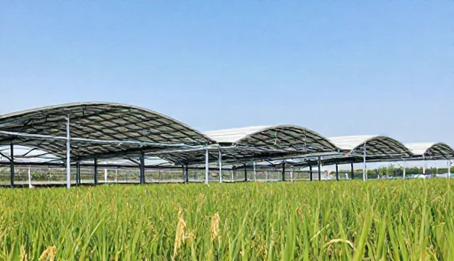 新公司网站建设难点及解决方案,优化网页设计流程