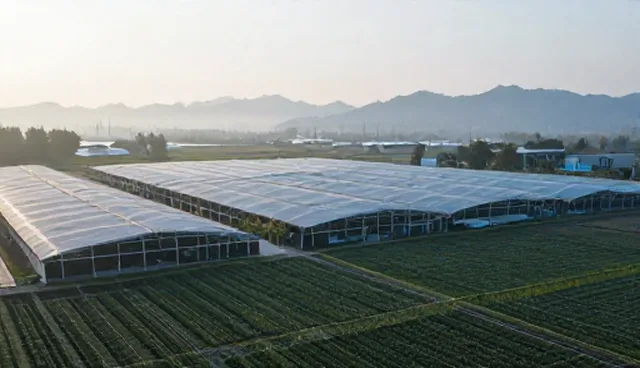 网站优化及推广公司如何选型低价网站建设方案