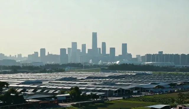 什么是网站建设,节点可查如何选择