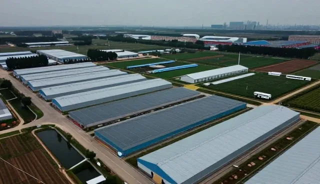 提升客户体验:活动执行套餐的使用与维护策略