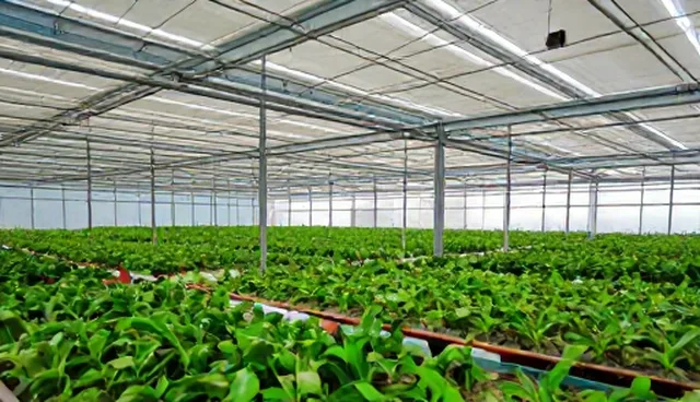 深圳小程序公司账号代运营的检查要点